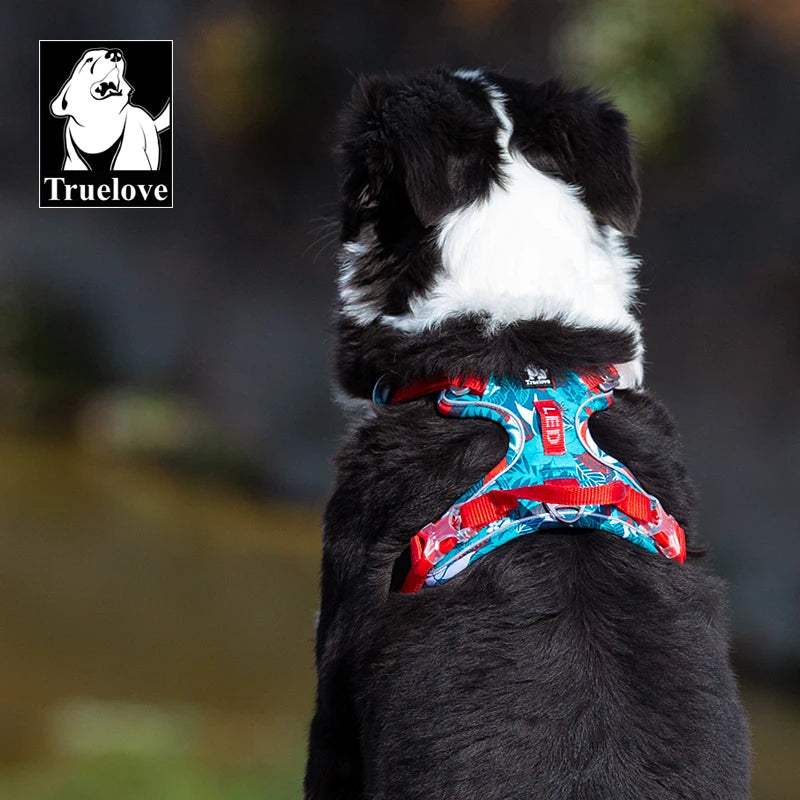 Large Split Dog Fashion Harness