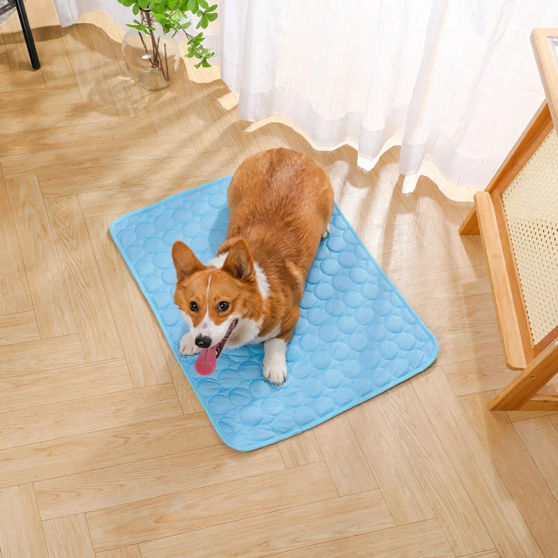 Pet Ice Silk Cushion Cooling Ice