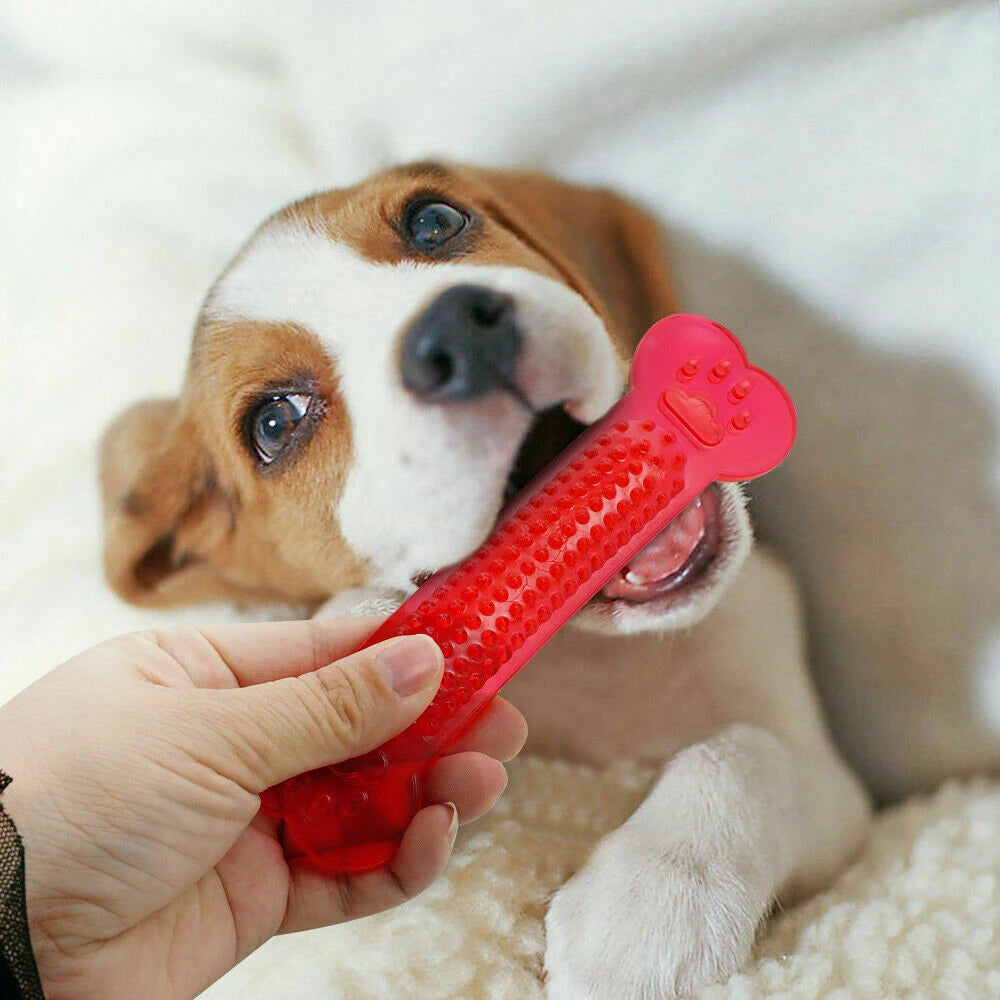 Dog Rubber Bone Chew Toy