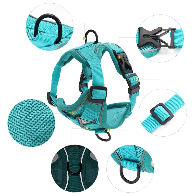 Adjustable Dog Harness Leash Set