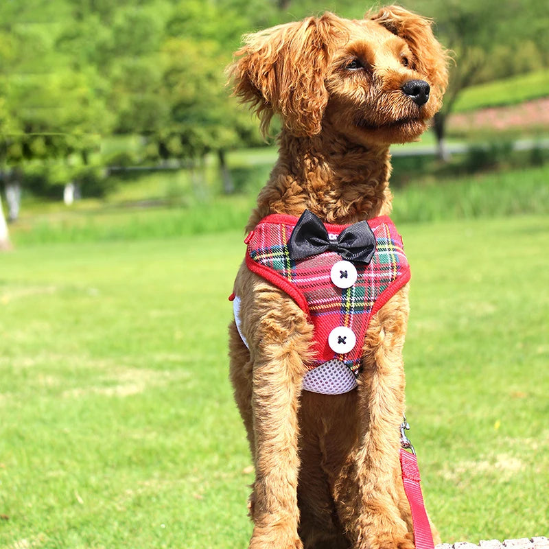 Elegant Bow Dog Collars Harness