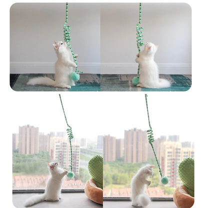 Cat Interactive Hanging Teaser Toy