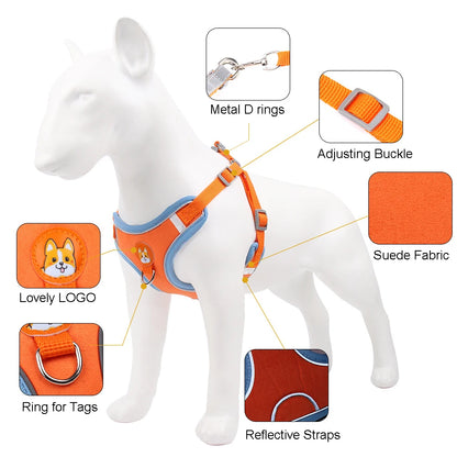 No Pull Dog Harness Leash Set