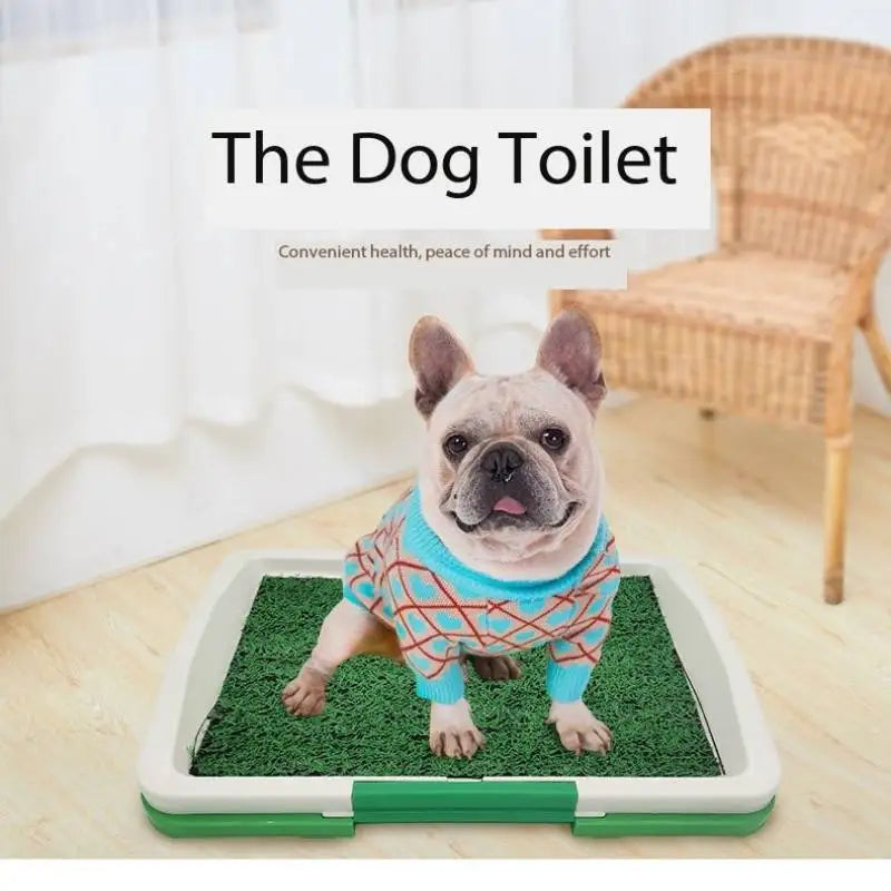 Grass Patch Dog Diaper