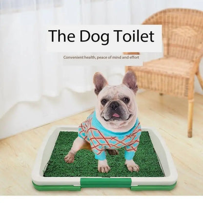 Grass Patch Dog Diaper