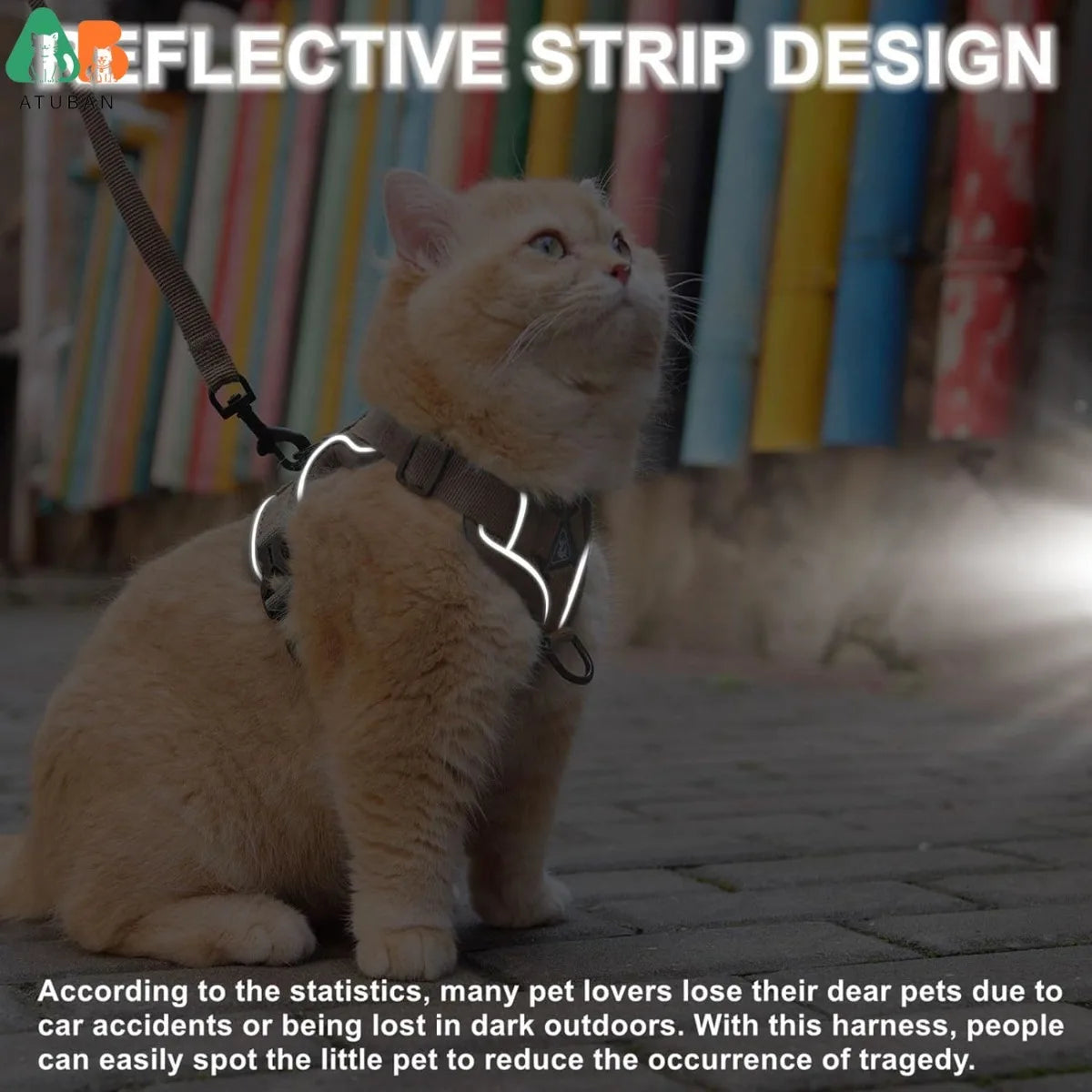 Cat Reflective Harness Leash Set