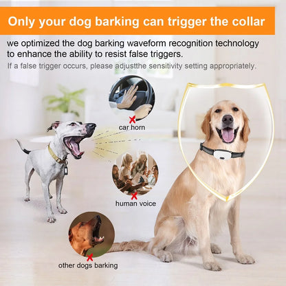 Electric Dog Anti Barking Collar