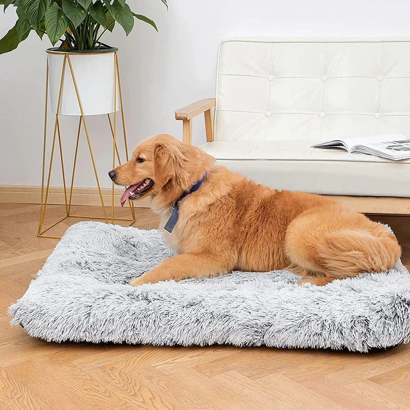 Pet Soft Plush Bed Mat