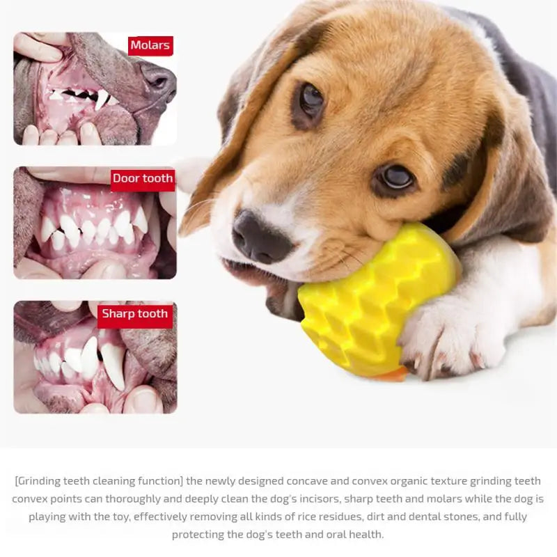 Dog Squeaky Bouncy Ball Toy