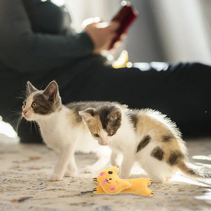 Cat Teeth Grinding Catnip Toy