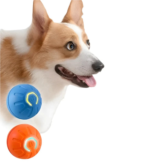 Dog Automatic Moving Bouncing Ball