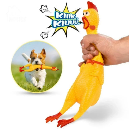 Dog Squeaky Chicken Toy