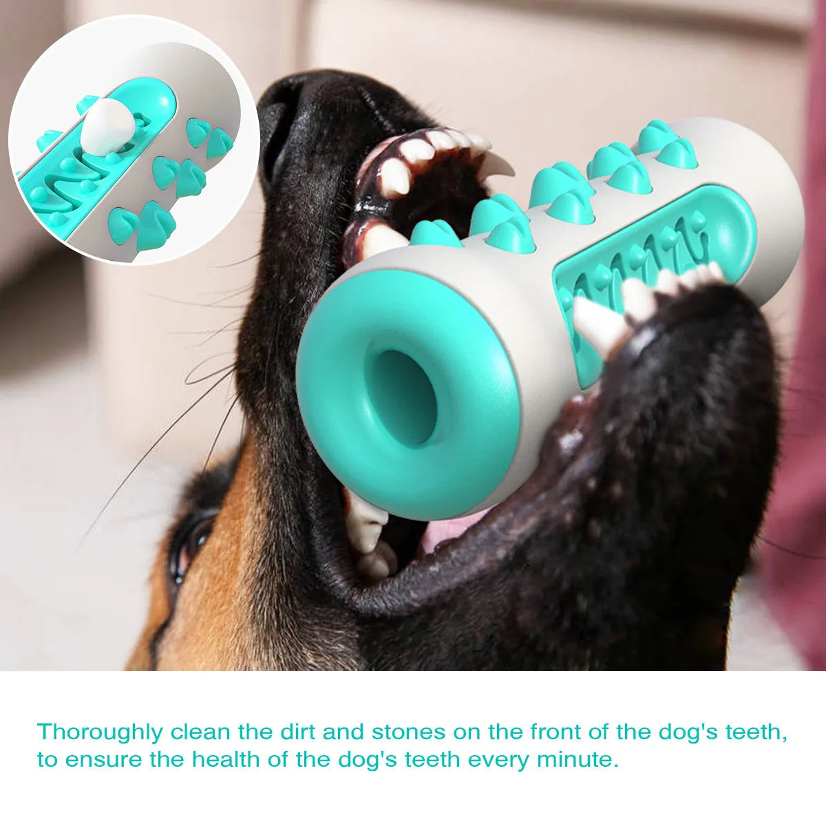 Dog Molar Toothbrush Chew Toy