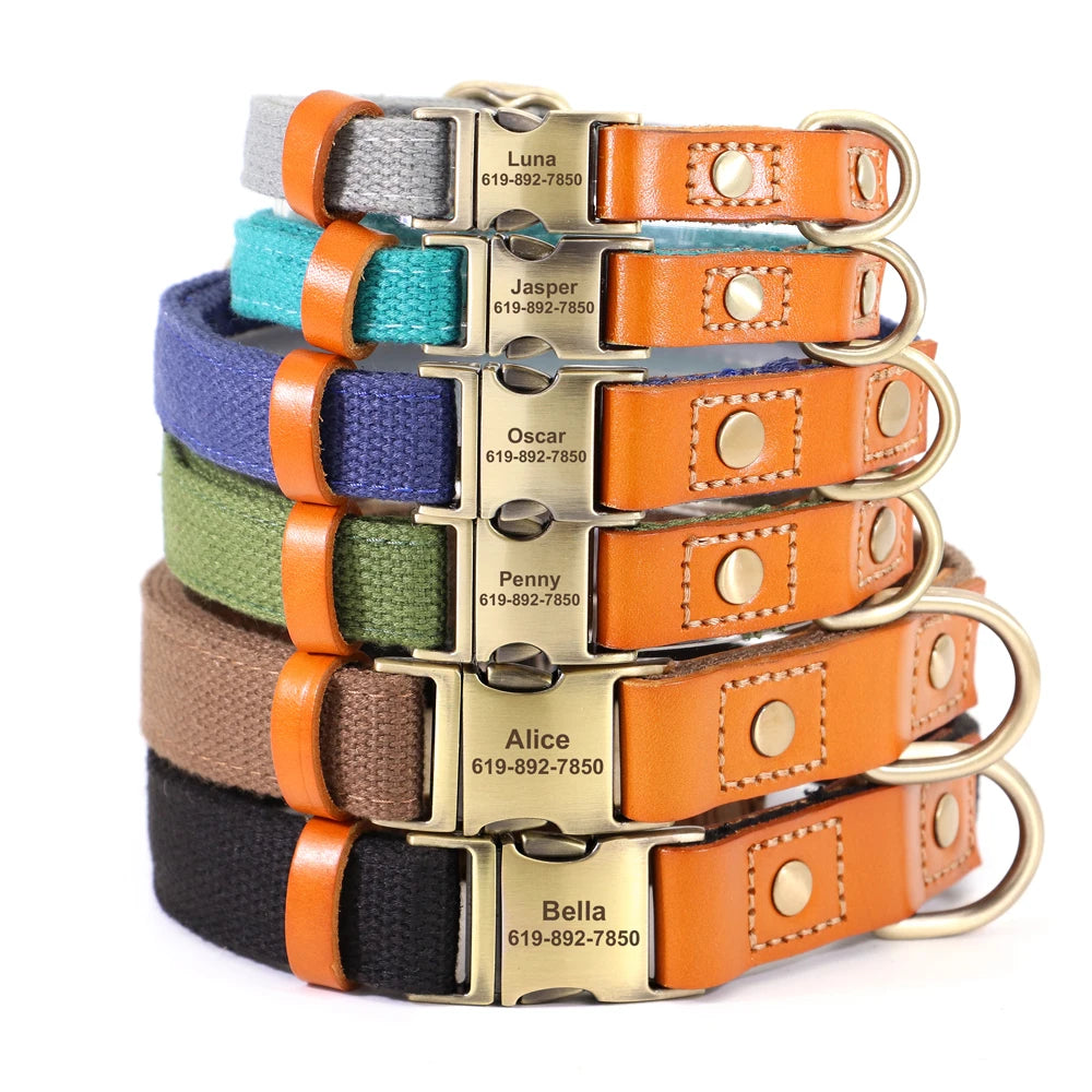 Nylon Dog Collar Leash Set