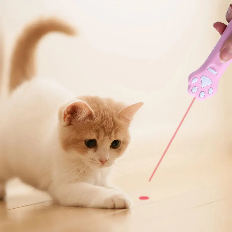 Pet Laser Teasing Pointer Toy