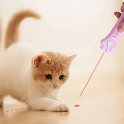 Pet Laser Teasing Pointer Toy