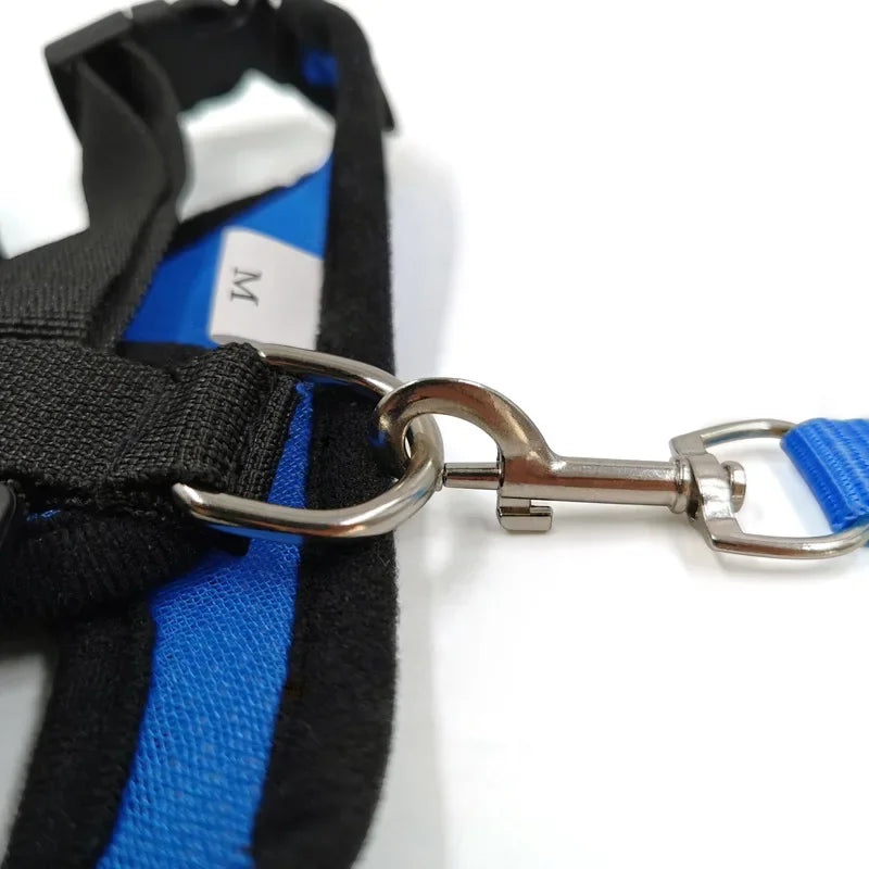 Dog Walking Lead Leash Harness