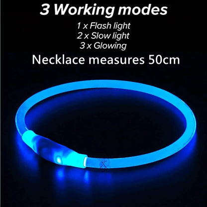 Led Dog Collar Luminous Usb