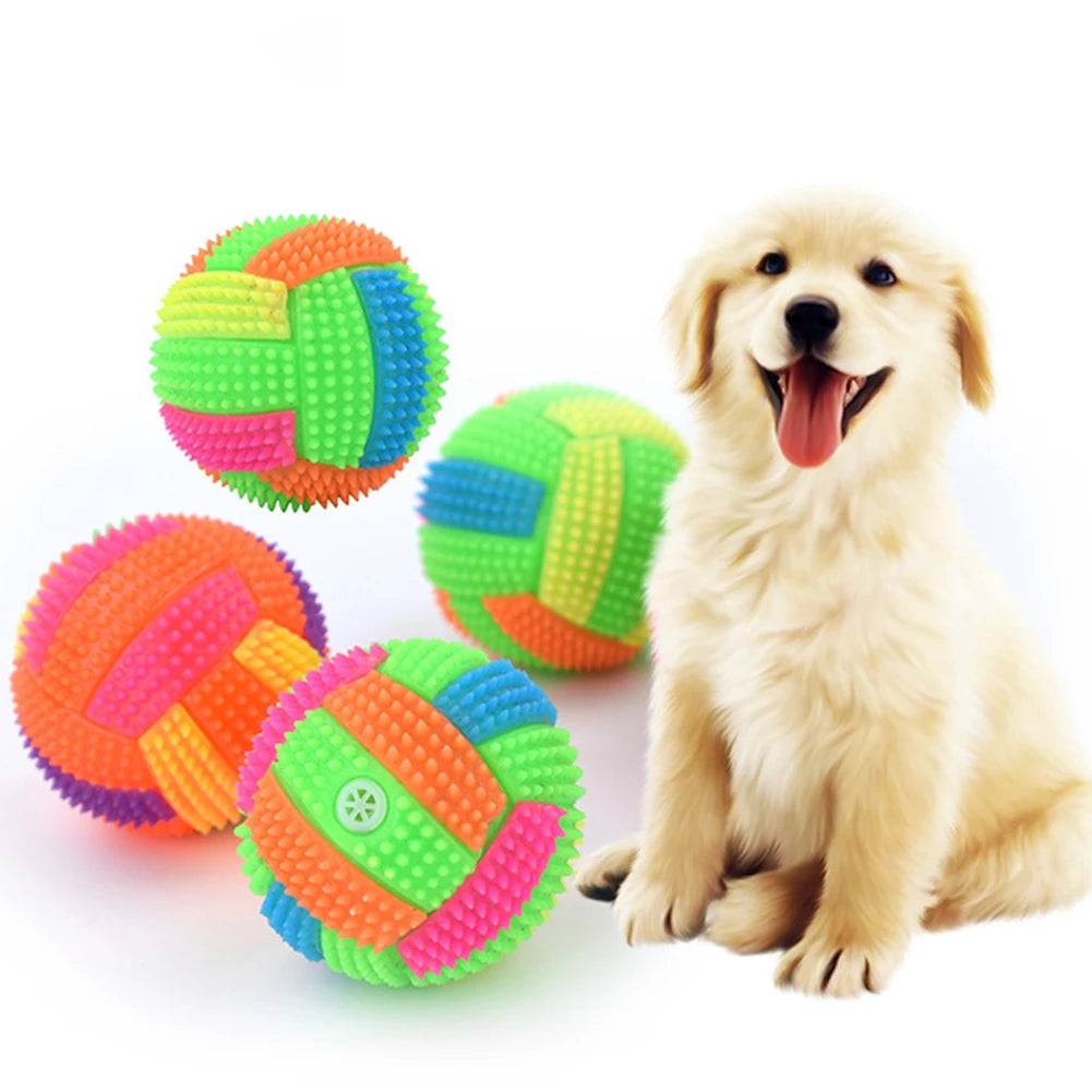 Dog Glow Ball Squeaky Toy