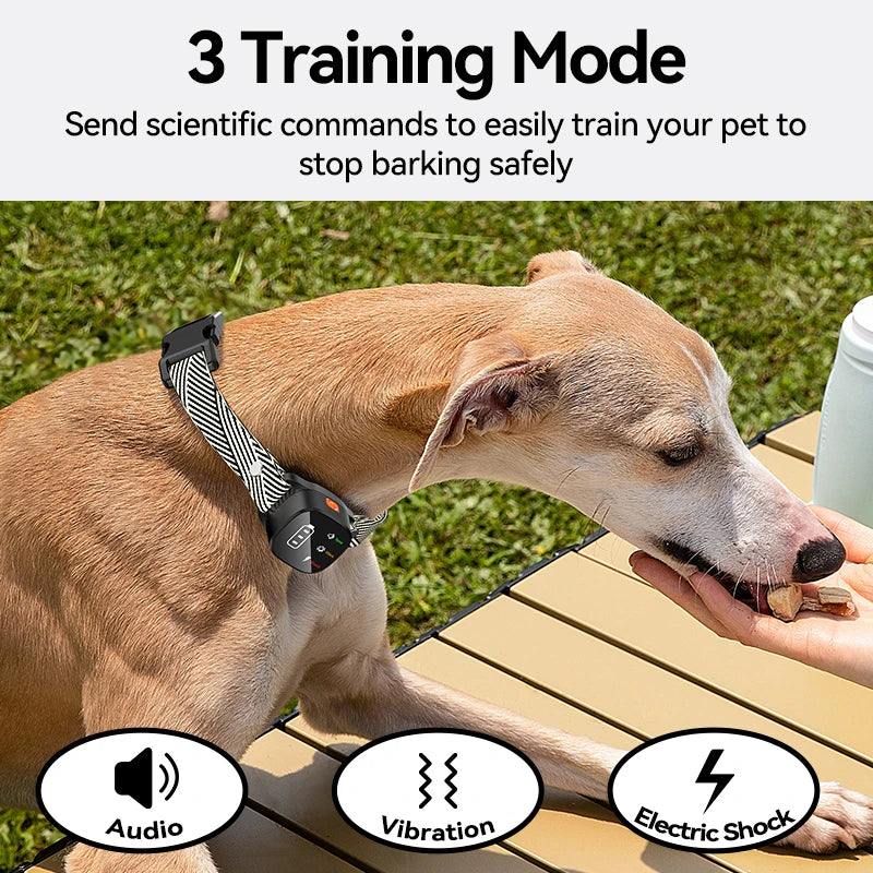 Electric Dog Training Collar