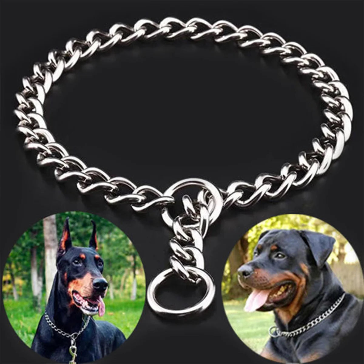 Pet Snake Chain Collar