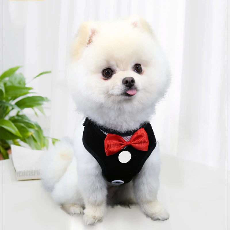 Elegant Bow Dog Collars Harness