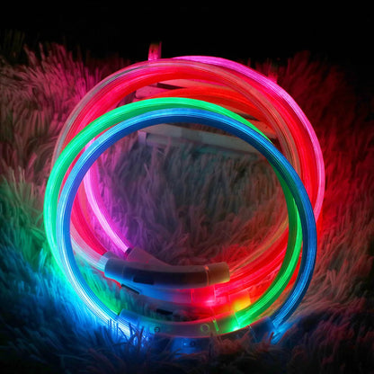 Led Dog Collar Luminous Usb