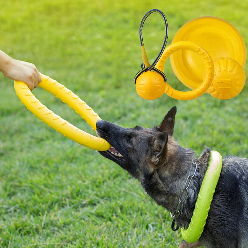 Pet Flying Discs Training Ring Toy