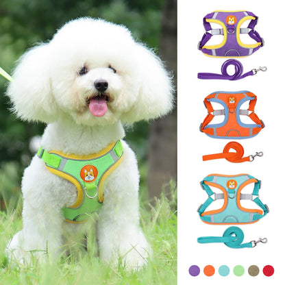 No Pull Dog Harness Leash Set